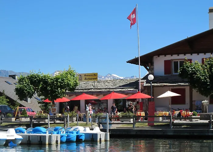 Hôtel accueillant les animaux: Hotel du Lac
