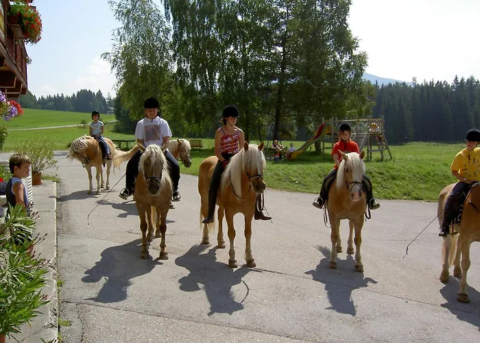 Haustierfreundliches Hotel: Hotel Stockerwirt