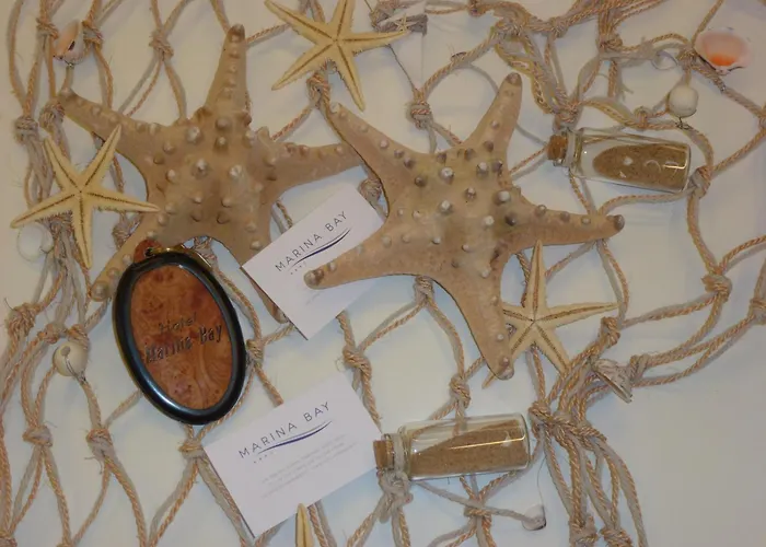 Hotel que aceita animais de estimação: Hotel Marina Bay