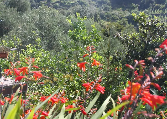 Hotel vicino al College: B&B Le Giare