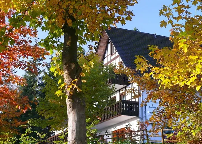 Hotel met zwembad: Pension Stiegelmeier