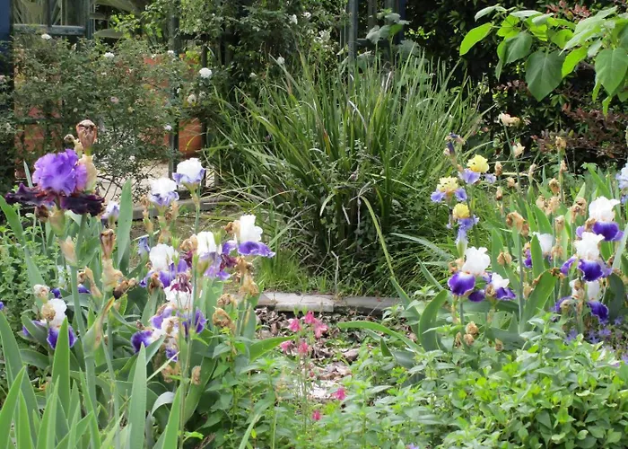 Hotel 3 stelle: La Gallina Felice B&B