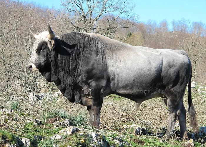Agriturismo Monte Sacro