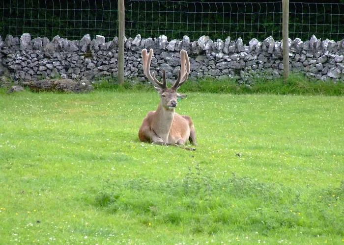 Shepherds Lodge B&B