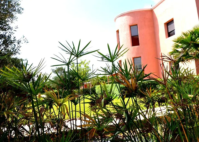 Riad Hamdani