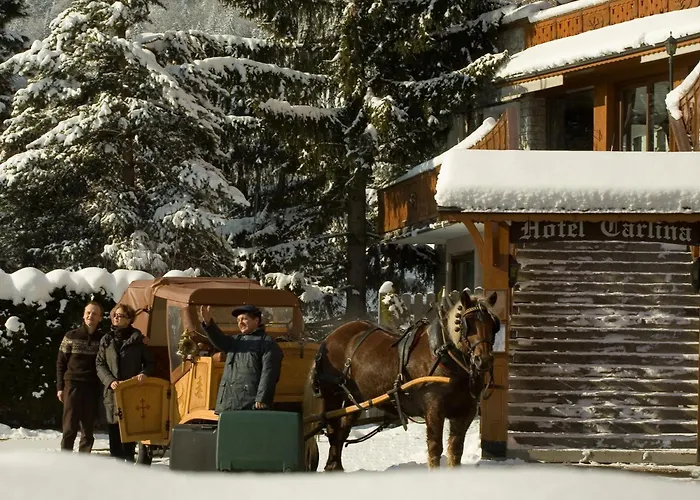 Cheap hotel: Carlina