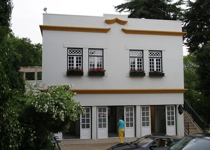 Camping Lamego Douro Valley