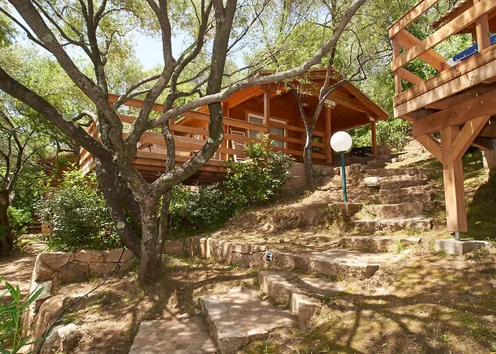 Hôtel accueillant les animaux: Camping Les Oliviers