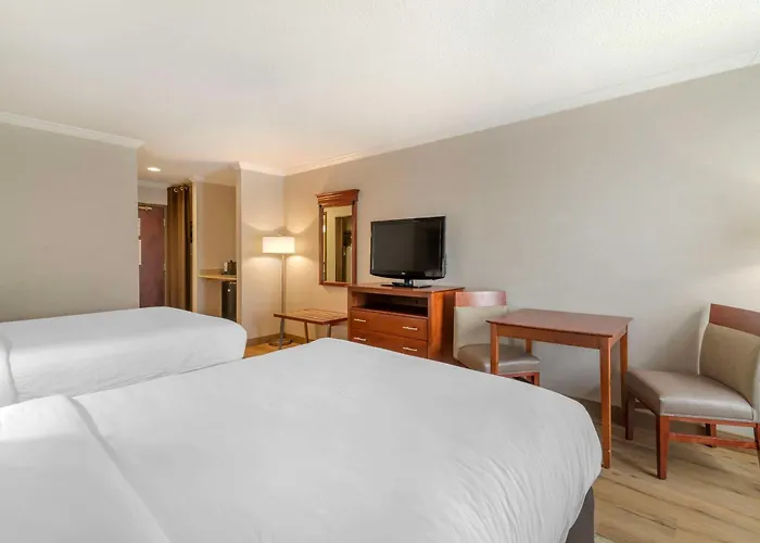 Pet Friendly hotel: Syracuse Grand