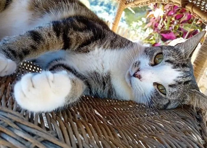 Villa privata: Agriturismo Soleada