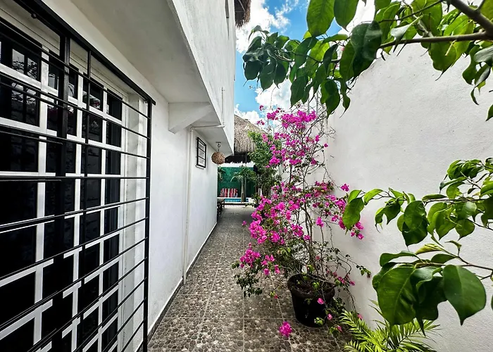 Hotel near College: La Perle Noire - Dive Hotel Cozumel