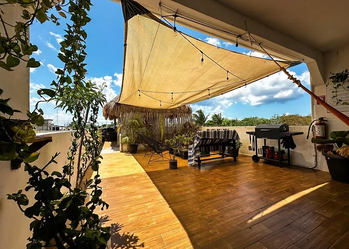 Hotel near College: La Perle Noire - Dive Hotel Cozumel