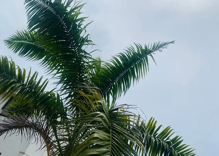 Paraiso Pie De La Popa