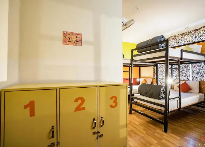 The Hostels Zostel Srinagar