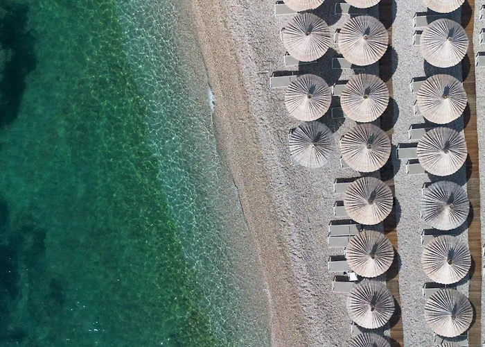 Hôtel accueillant les animaux: Radisson Blu Resort & Spa