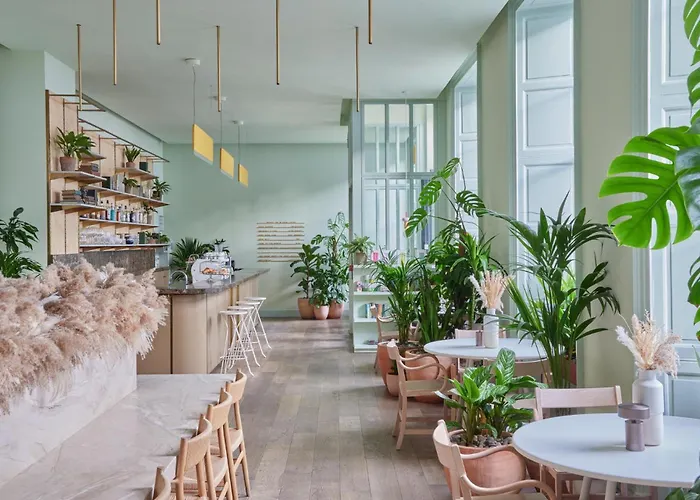 Self Catering: Eden Locke