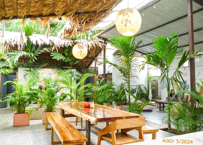 The Hostels La Tribu Boutique For Women