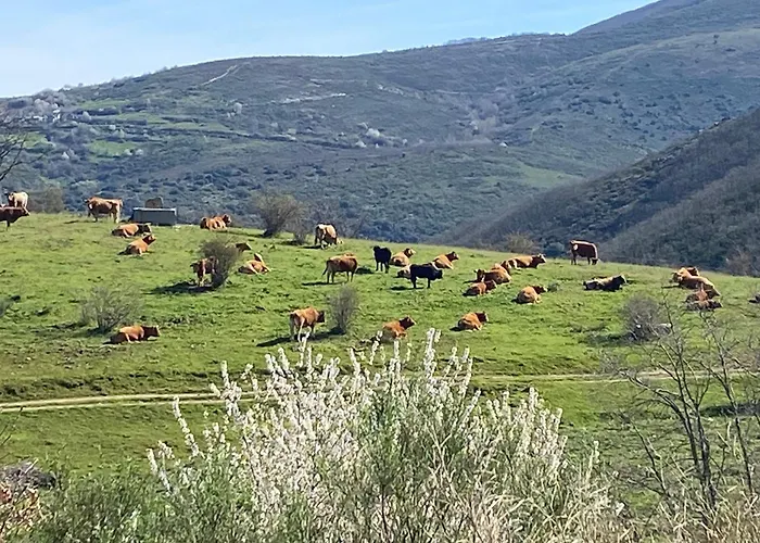 Hotel que admite mascotas: La Casita de Chocolate - Encanto Rural en Espinoso de Compludo - El Bierzo