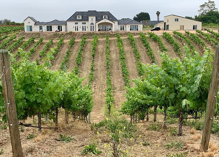 Domaine Chardonnay