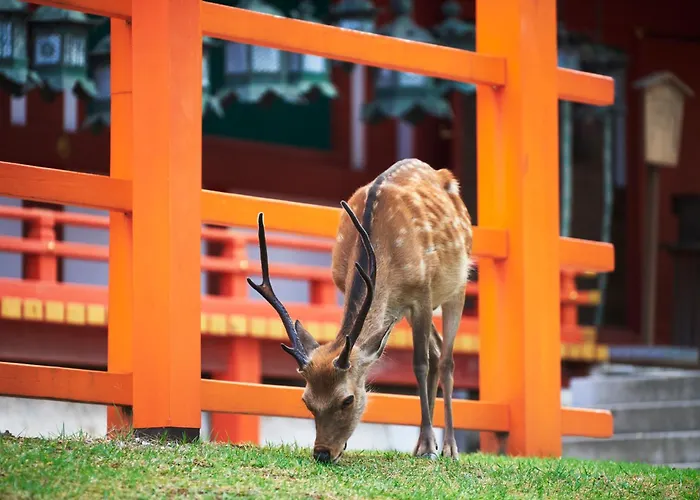 Resort: Jw Marriott Hotel Nara