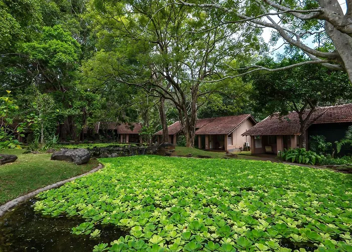 Sigiriya Village