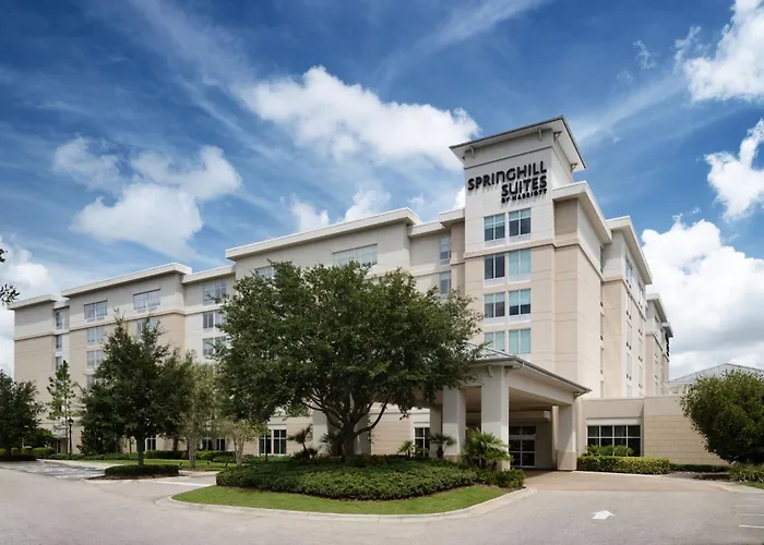 Ping Pong hotel: Springhill Suites By Marriott Orlando At Flamingo Crossings Town Center-Western Entrance