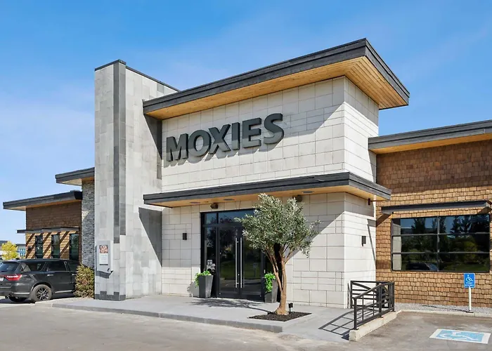 Pet Friendly hotel: Sandman Hotel Calgary Airport