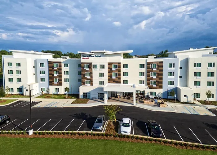 Hotel with pool: Towneplace Suites By Marriott Auburn University Area