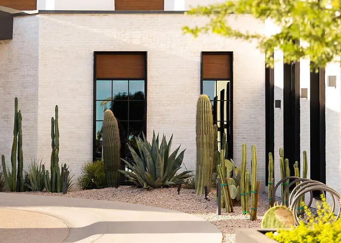 Hotel: Senna House Hotel Scottsdale, Curio Collection By Hilton