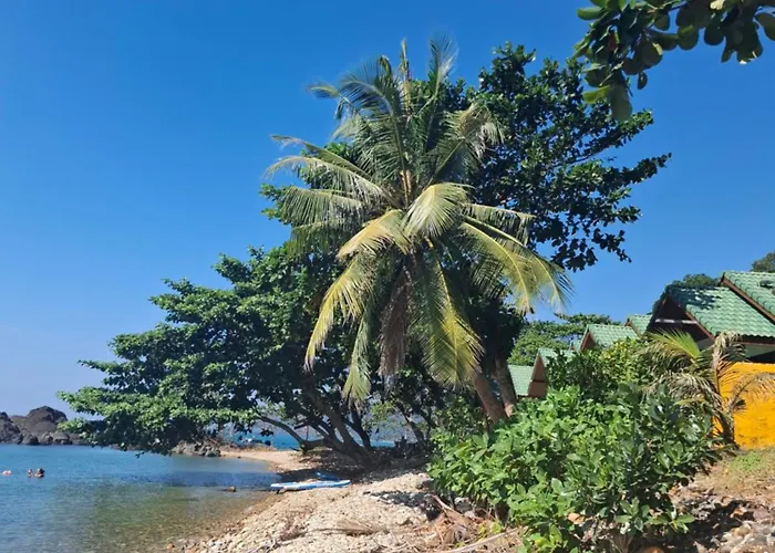 Paradise Palms