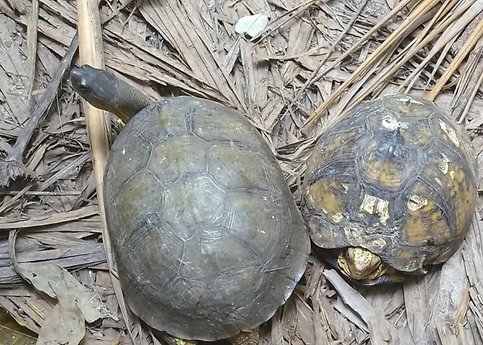 Apartamento: Casa del Arquitecto