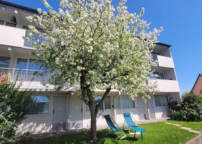Hôtel: Brit Hotel Quimper Sud