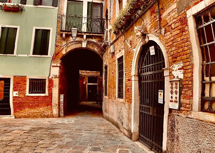 The Wolf House Greysclass