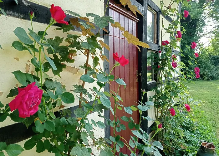 Het Geluk Van Limburg
