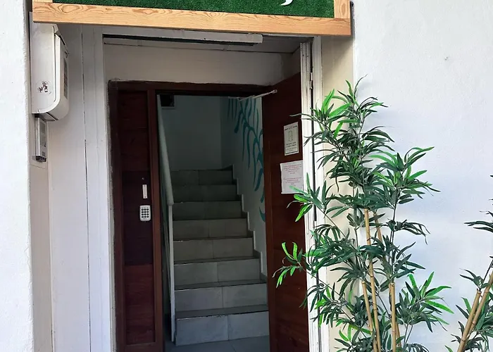 Ostello: Cisne By Nest Hostel