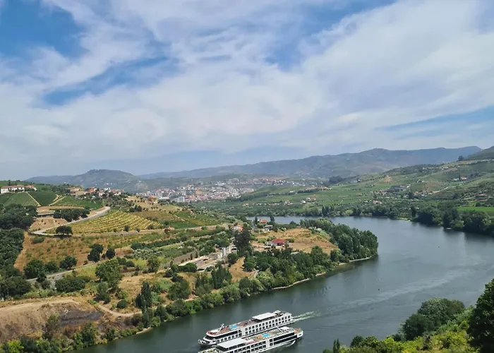  Delfim Douro