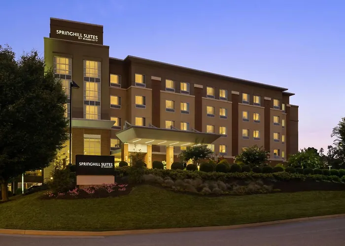 Hotel with view: Springhill Suites By Marriott Roanoke