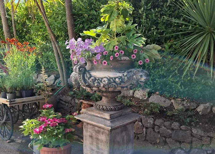 Palm Grove Apartments