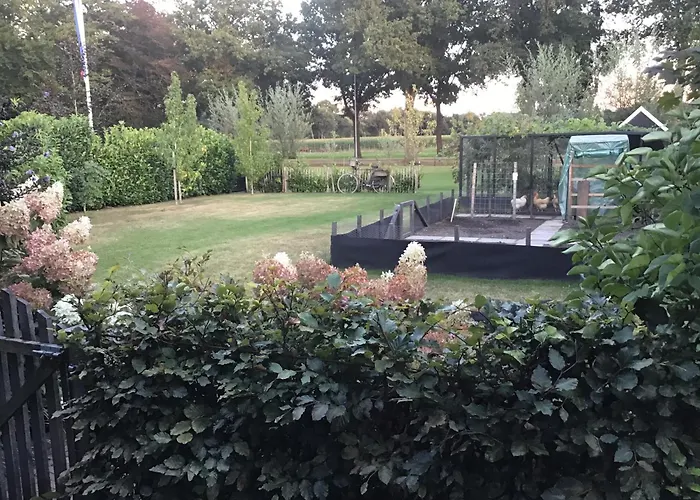 Familiehotel: Vakantiehuisje B&B de Kleine Voskuil