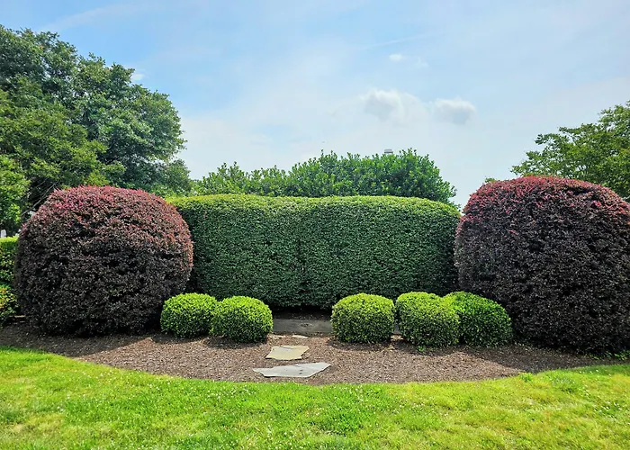 Doubletree By Hilton Norfolk Airport