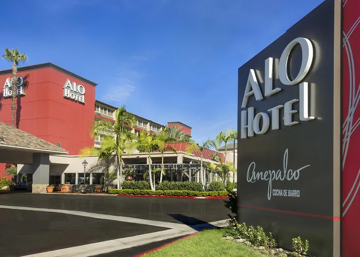 Alo By Ayres, Orange