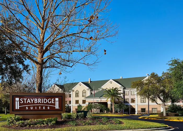 Airport Hotel: Staybridge Suites Orlando South By Ihg