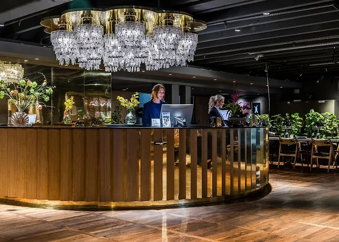 Clarion Amaranten