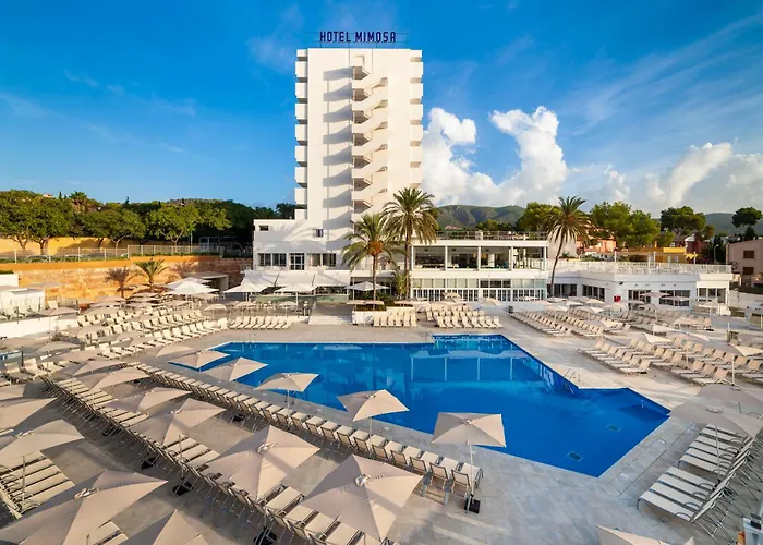 Hôtel central: Globales Mimosa