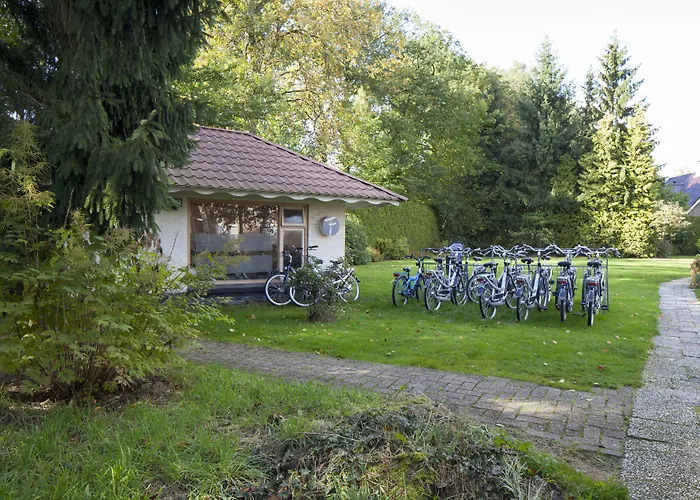 Huisdiervriendelijk hotel: Hotel de Grote Zwaan