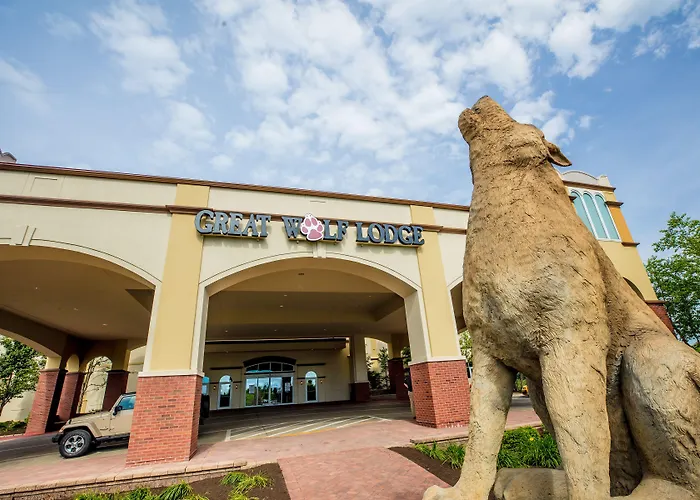 Pet Friendly hotel: Great Wolf Lodge Chicago/Gurnee