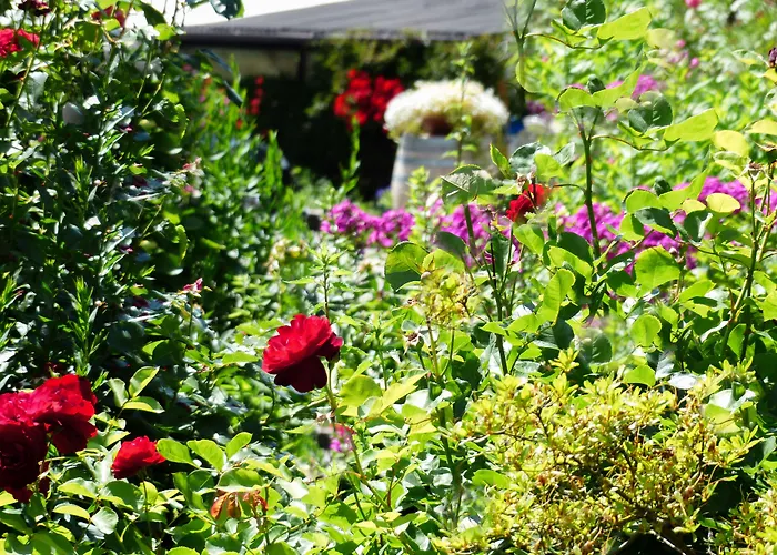 Hotel con vista: Prinz Rudolf Smart Hotel