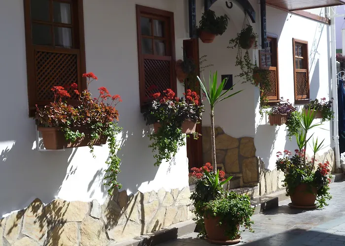 Hotel near College: Frankfurt Hotel