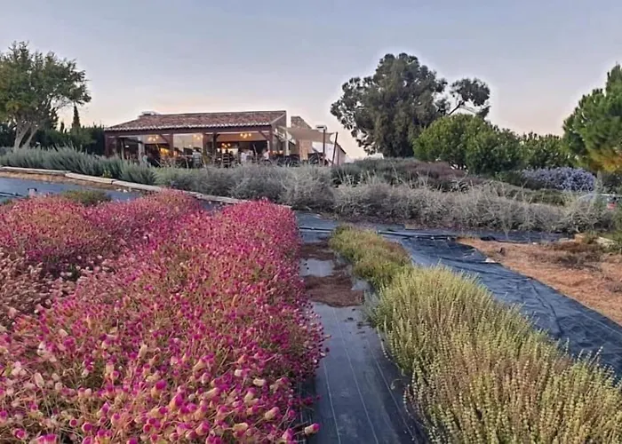 Villa: Quinta Do Mel