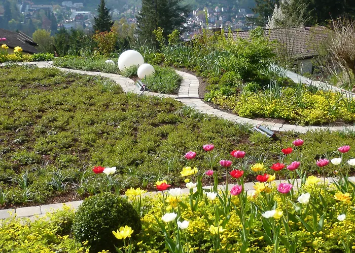 3-Sterne-Hotel: Hotel Hochwald